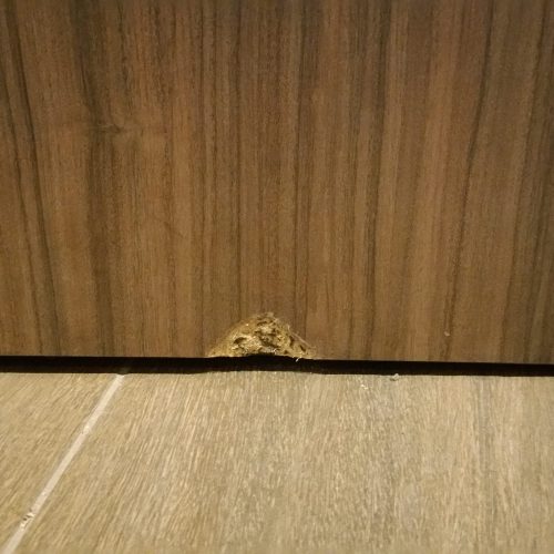 20170309_082031